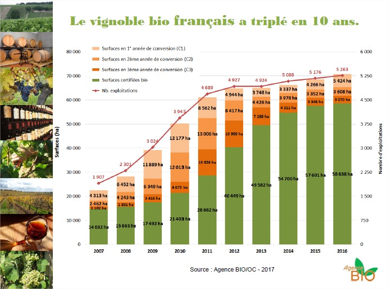 Vignoble bio a triplé en 10 ans
